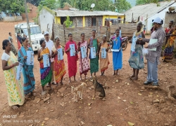 Distribution of vegetable seed kits 