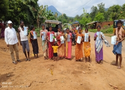 Distribution of vegetable seed kits 