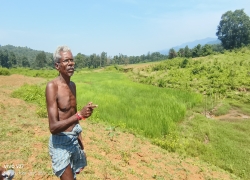 Bund formation/heightening in INtalurivagu village